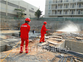 鹽田區(qū)沙頭角中英街改建白蟻防治服務(wù)