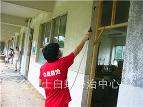 寶安西鄉(xiāng)資高電子廠白蟻防治服務(wù)