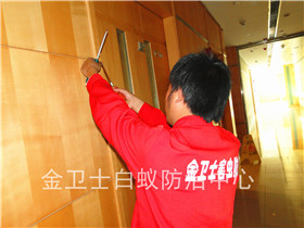 龍崗坂田萬科四季花城白蟻防治服務(wù)