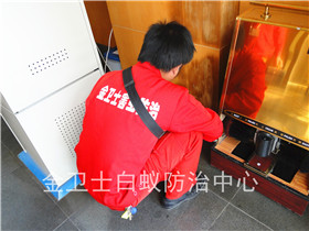 福田長(zhǎng)城盛世家園二期白蟻防治服務(wù)